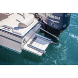 Ladder - Swim Platform Combo, Telescopic, Stainless Steel Relaxn