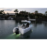 Boat LED Underwater Light White 12 volt Stainless Steel 316G Cover 4 Pack